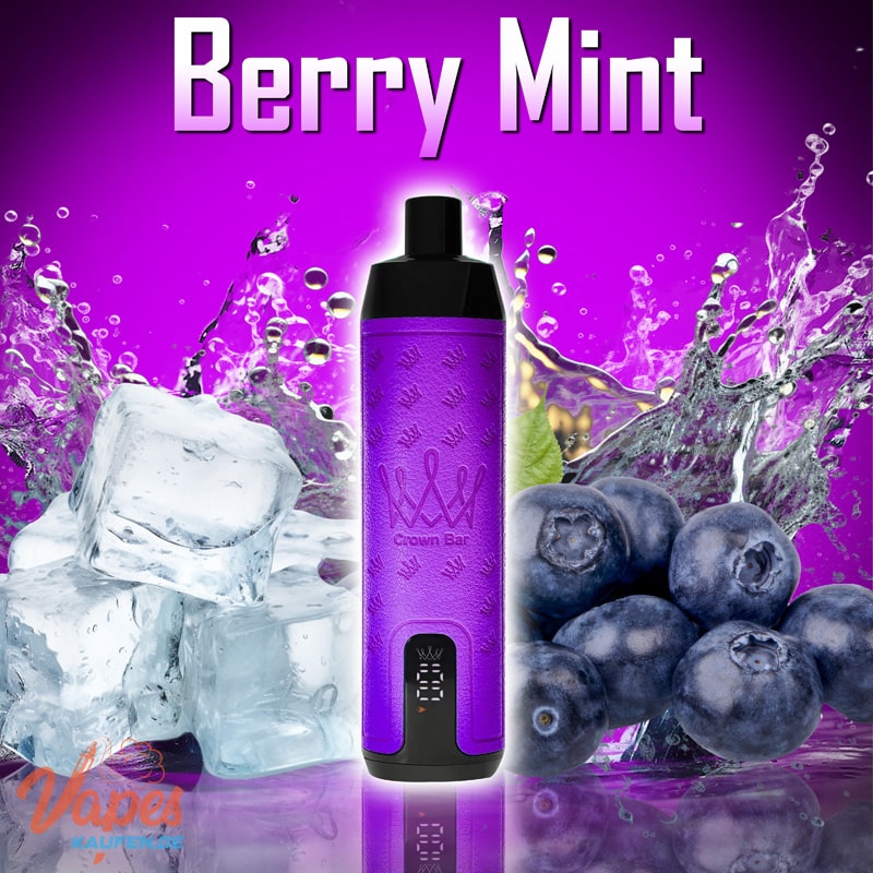 Al Fakher 15000 berry mint